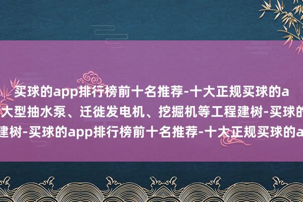 买球的app排行榜前十名推荐-十大正规买球的app排行榜推荐调集一批大型抽水泵、迁徙发电机、挖掘机等工程建树-买球的app排行榜前十名推荐-十大正规买球的app排行榜推荐