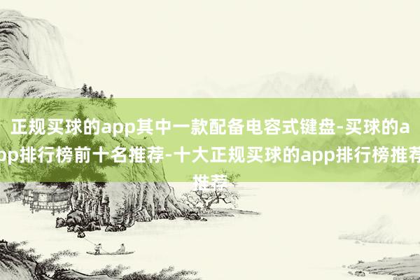 正规买球的app其中一款配备电容式键盘-买球的app排行榜前十名推荐-十大正规买球的app排行榜推荐