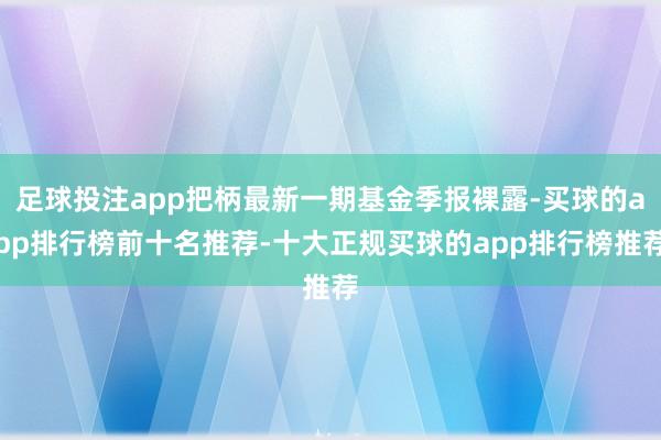足球投注app把柄最新一期基金季报裸露-买球的app排行榜前十名推荐-十大正规买球的app排行榜推荐