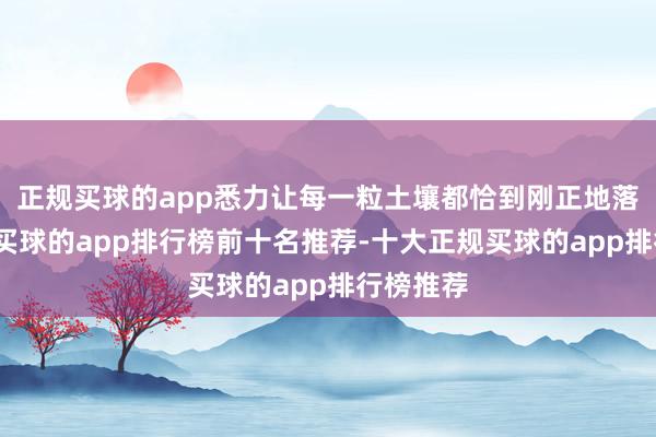 正规买球的app悉力让每一粒土壤都恰到刚正地落在堆上-买球的app排行榜前十名推荐-十大正规买球的app排行榜推荐