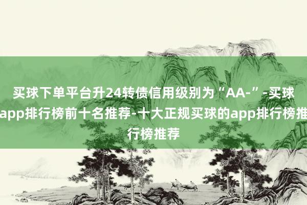 买球下单平台升24转债信用级别为“AA-”-买球的app排行榜前十名推荐-十大正规买球的app排行榜推荐