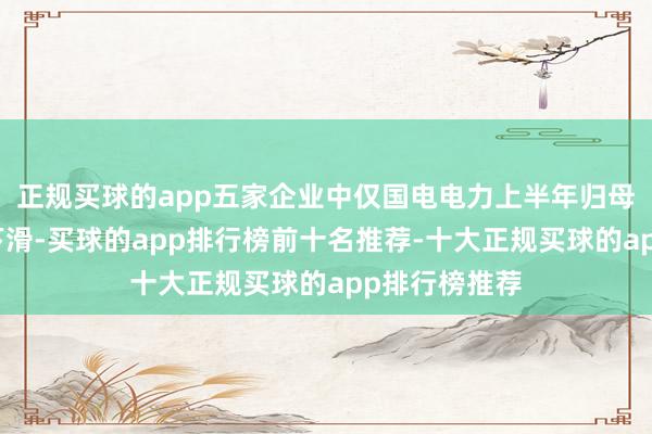 正规买球的app五家企业中仅国电电力上半年归母净利润同比下滑-买球的app排行榜前十名推荐-十大正规买球的app排行榜推荐