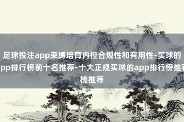 足球投注app束缚培育内控合规性和有用性-买球的app排行榜前十名推荐-十大正规买球的app排行榜推荐
