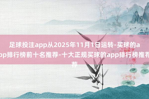 足球投注app从2025年11月1日运转-买球的app排行榜前十名推荐-十大正规买球的app排行榜推荐