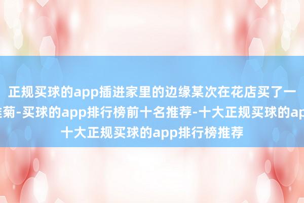 正规买球的app插进家里的边缘某次在花店买了一束打折的小雏菊-买球的app排行榜前十名推荐-十大正规买球的app排行榜推荐