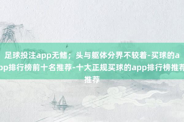 足球投注app无鳍；头与躯体分界不较着-买球的app排行榜前十名推荐-十大正规买球的app排行榜推荐
