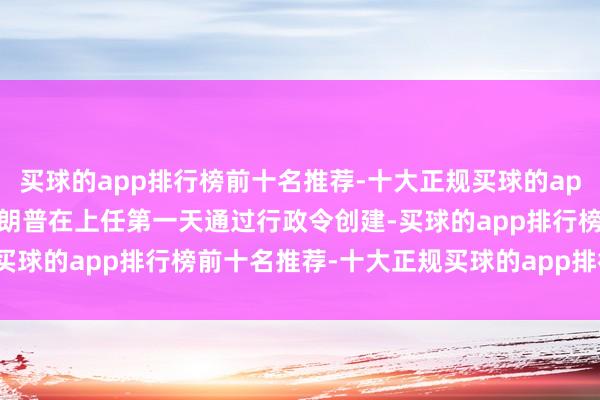买球的app排行榜前十名推荐-十大正规买球的app排行榜推荐DOGE由特朗普在上任第一天通过行政令创建-买球的app排行榜前十名推荐-十大正规买球的app排行榜推荐