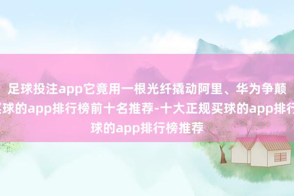 足球投注app它竟用一根光纤撬动阿里、华为争颠倒合-买球的app排行榜前十名推荐-十大正规买球的app排行榜推荐