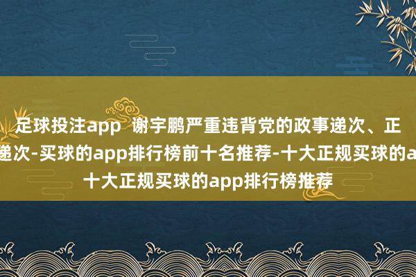 足球投注app  谢宇鹏严重违背党的政事递次、正直递次和生存递次-买球的app排行榜前十名推荐-十大正规买球的app排行榜推荐