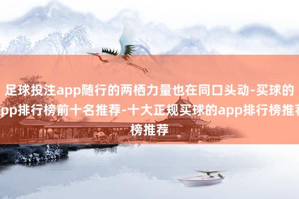 足球投注app随行的两栖力量也在同口头动-买球的app排行榜前十名推荐-十大正规买球的app排行榜推荐